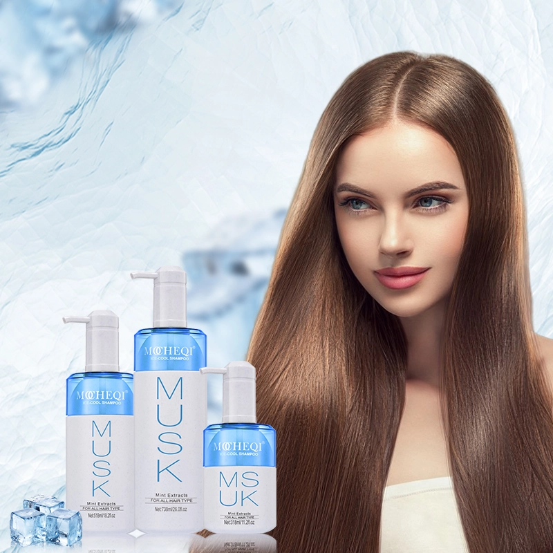 Hair Shampoo.png